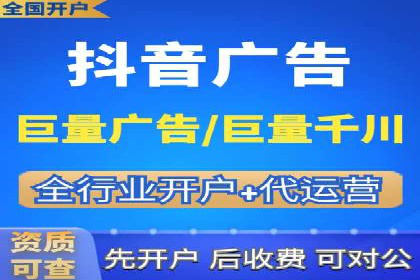 某行业领军企业的SEM广告投放策略