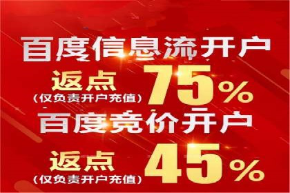 百度竞价代理的运营策略与成功案例分析